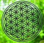 Rufe jetzt Deria an!